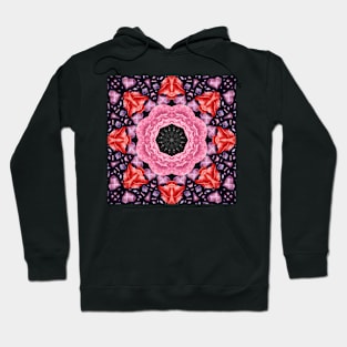 Crystal Hearts and Flowers Valentines Kaleidoscope pattern (Seamless) 35 Hoodie